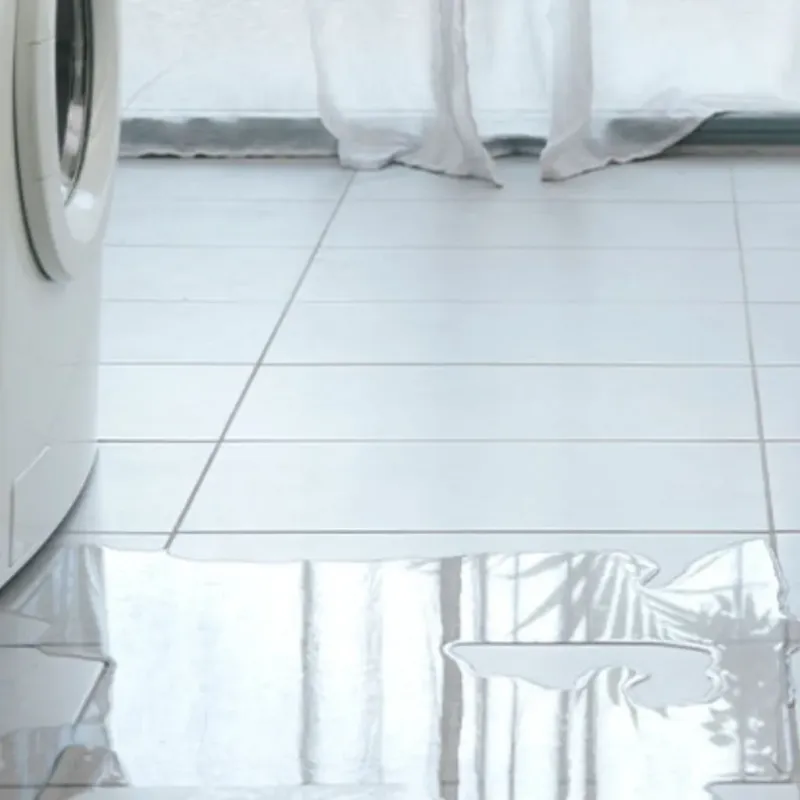Appliance Leak Cleanup in Gueydan, LA