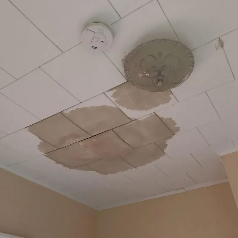 Ceiling Water Damage Repair in Gueydan, LA
