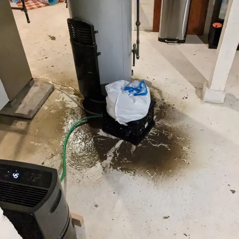 Sewage Backup Cleanup Service in Gueydan, LA